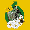  -2005