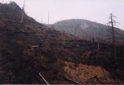 Fire-sites near the source of the Chamga river