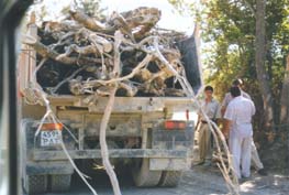 Guard and trucks at the exit