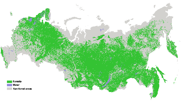 Forest cover according to the Russian Forest Service data