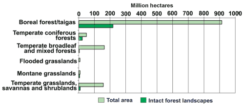 Figure 2. Area of ecoregions, according to the global classification proposed by Olsson, et al (2001),