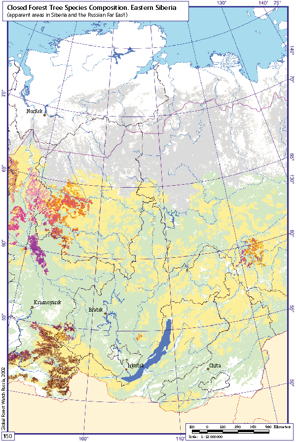 Closed Forest Tree Species Composition. Western Siberia. 91 Kb