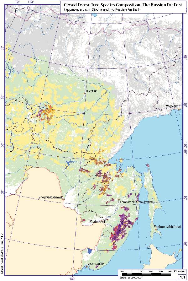 Closed Forest Tree Species Composition. Western Siberia. 91 Kb