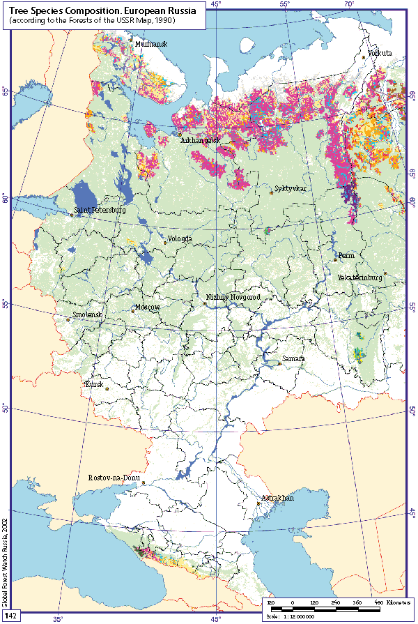 Tree Species Composition. European Russia