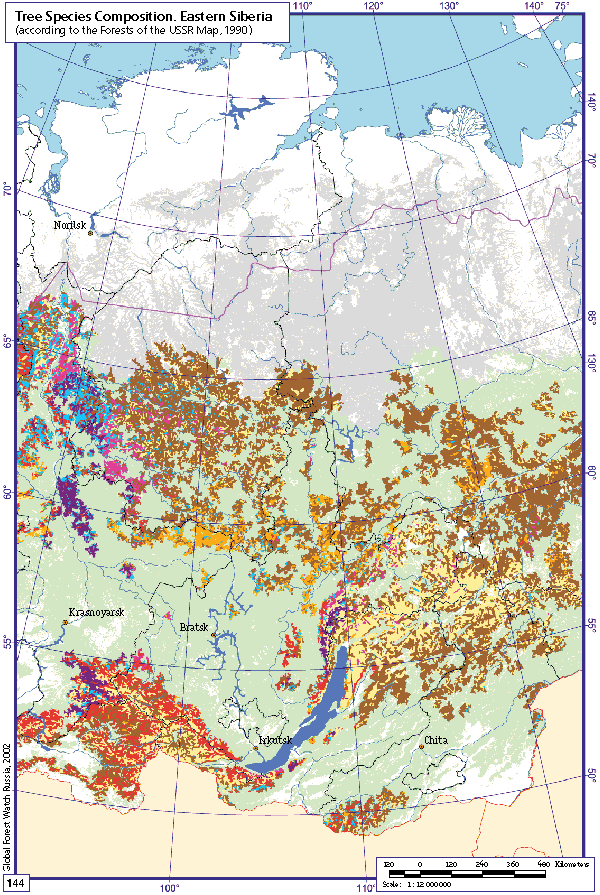 Tree Species Composition. Eastern Siberia