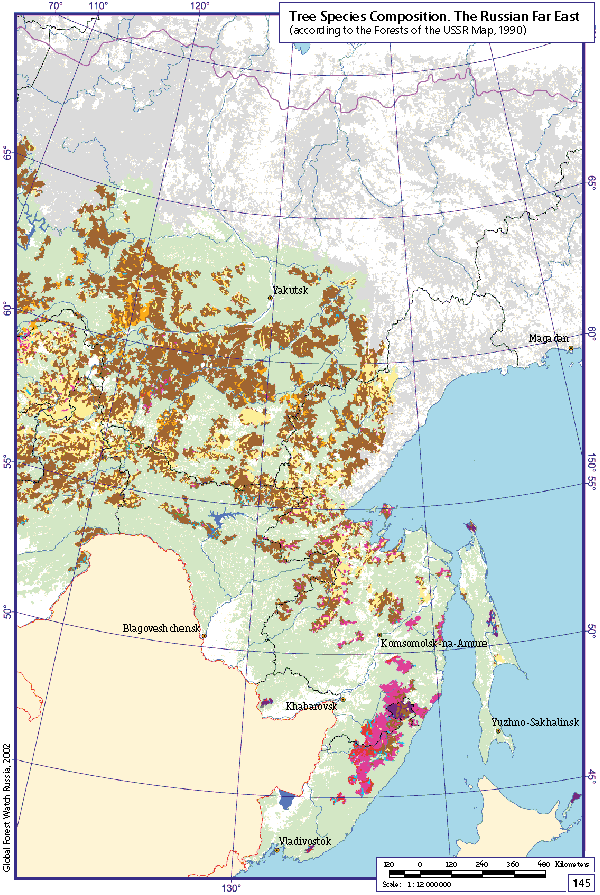Tree Species Composition. Russian Far East