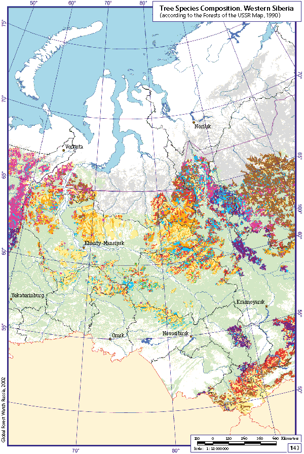 Tree Species Composition. Western Siberia