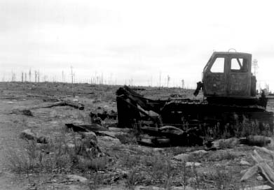 Fifteen-year-old unregenerated clearcut in subtundra forests near 
the Lake Chunozero (Murmansk Oblast, Russia). Photo: Konstantin Kobyakov.