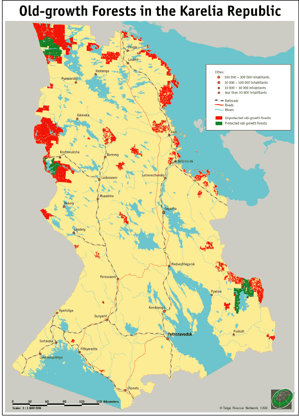 The Old-growth Forests in the Karelia Republic