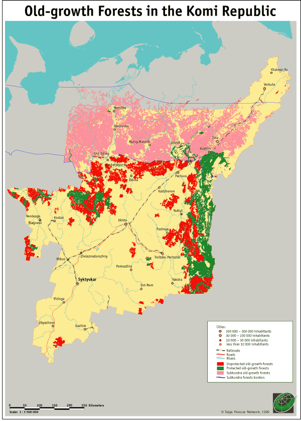 The Old-growth Forests in the Komi Republic