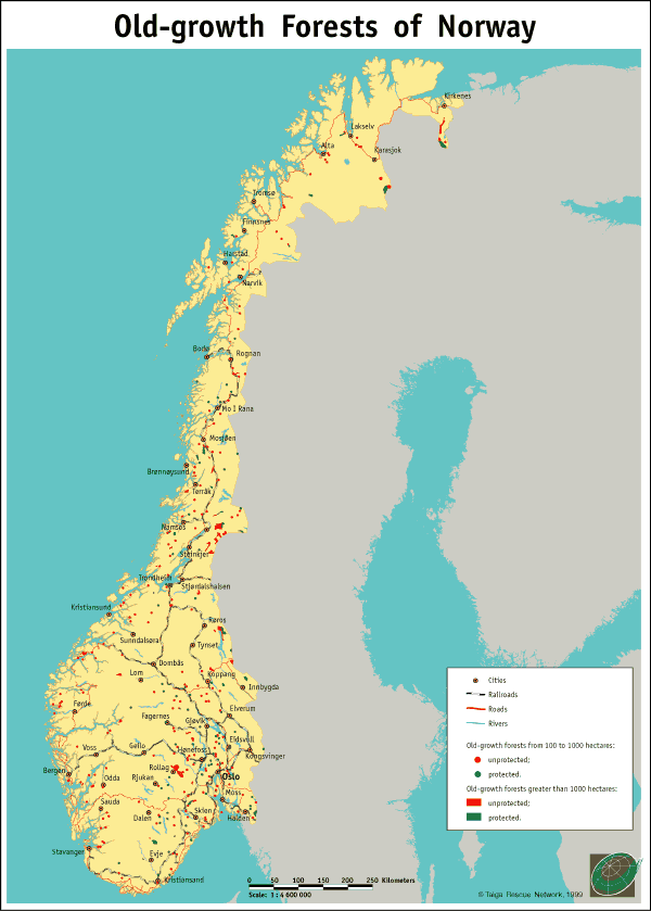 The Old-growth Forests of Norway