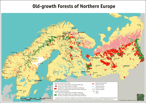 The Old-growth Forests of Northern Europe