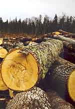 Logs