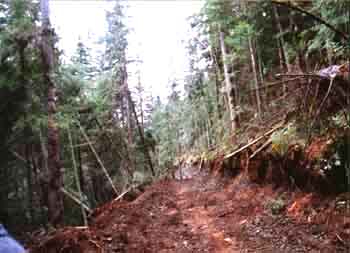 For work on steep slopes, notched trails are made