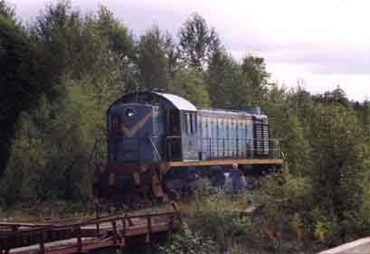 Timber is once again shipped by the Oborskaya Railway